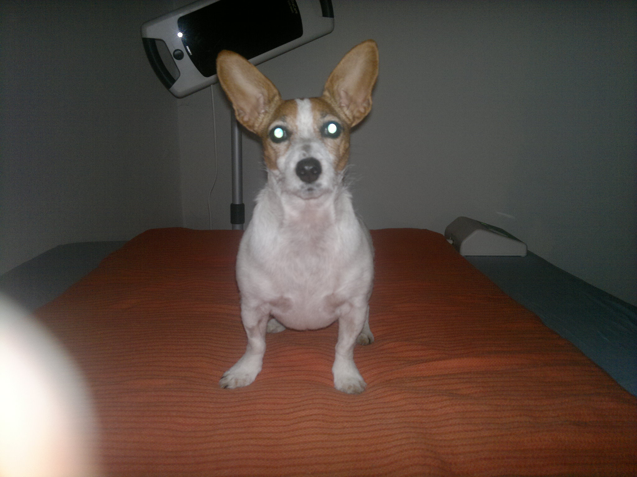 Jackie - Bandscheibenvorfall.jpg (2048 x 1536)